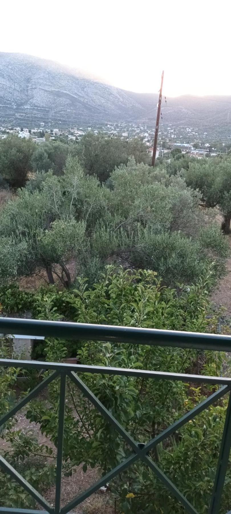 Apartmán Suburbs Georgia's Loft In Country Side 15' From The Airport